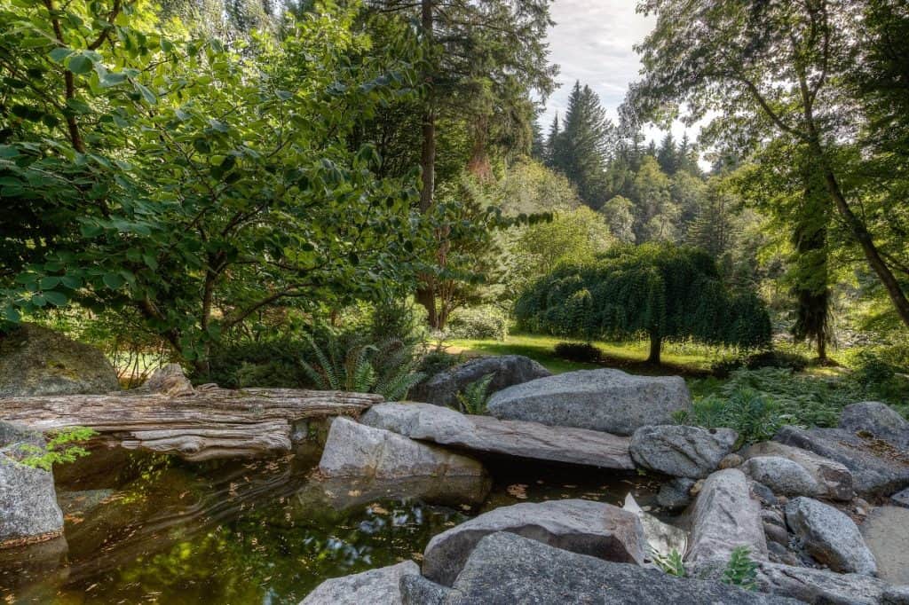 Zen Lakes seattle rental