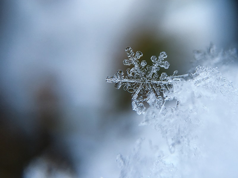 snow photography