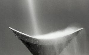 What is Film Grain? We Break Down the Specifics | Peerspace