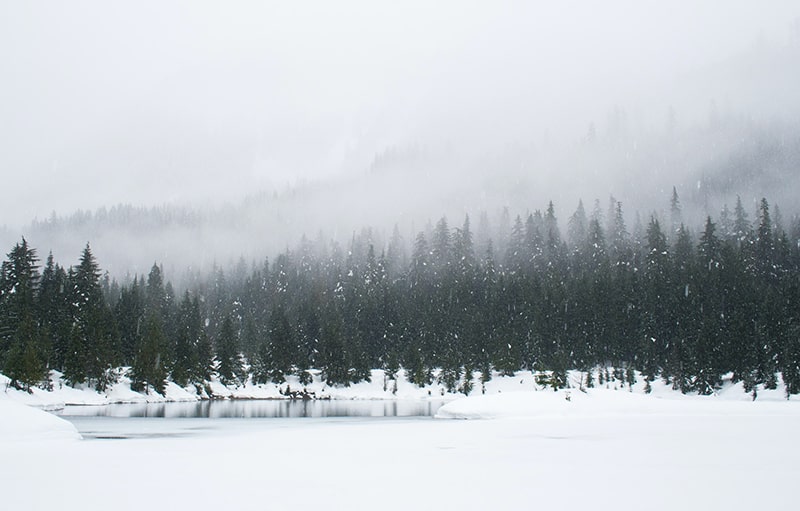 snow photography