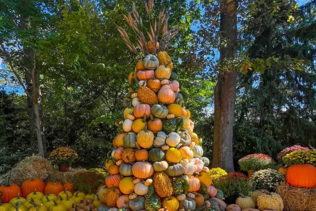 A tower of colorful pumpkins sits in a patch of mums and hay bales