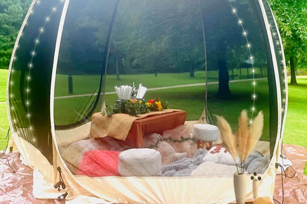 an outdoor picnic set up in atlanta