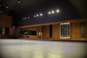 12 Unique Music Themed Party Ideas For The Musicophiles In Your Life (2025) | Peerspace