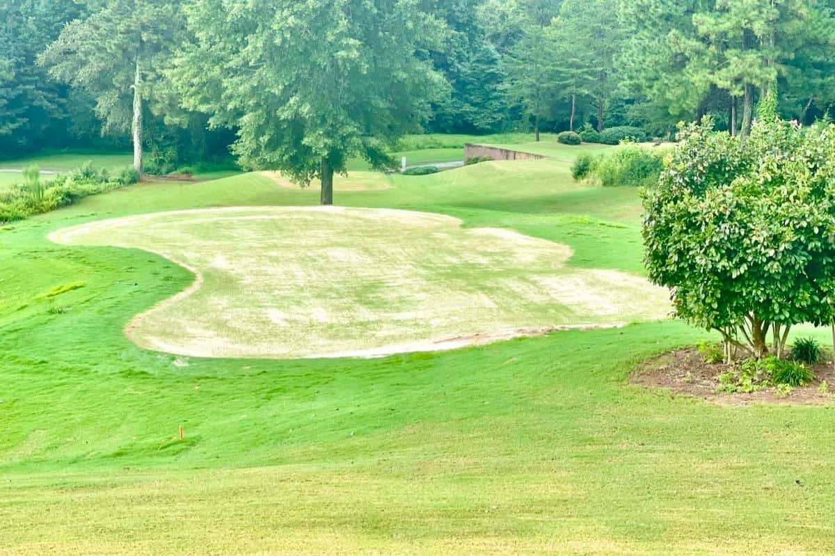 12 Creative Golf Themed Party Ideas | Peerspace