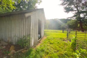 Planning A Cottage Core Photoshoot: 10 Unique Ideas | Peerspace