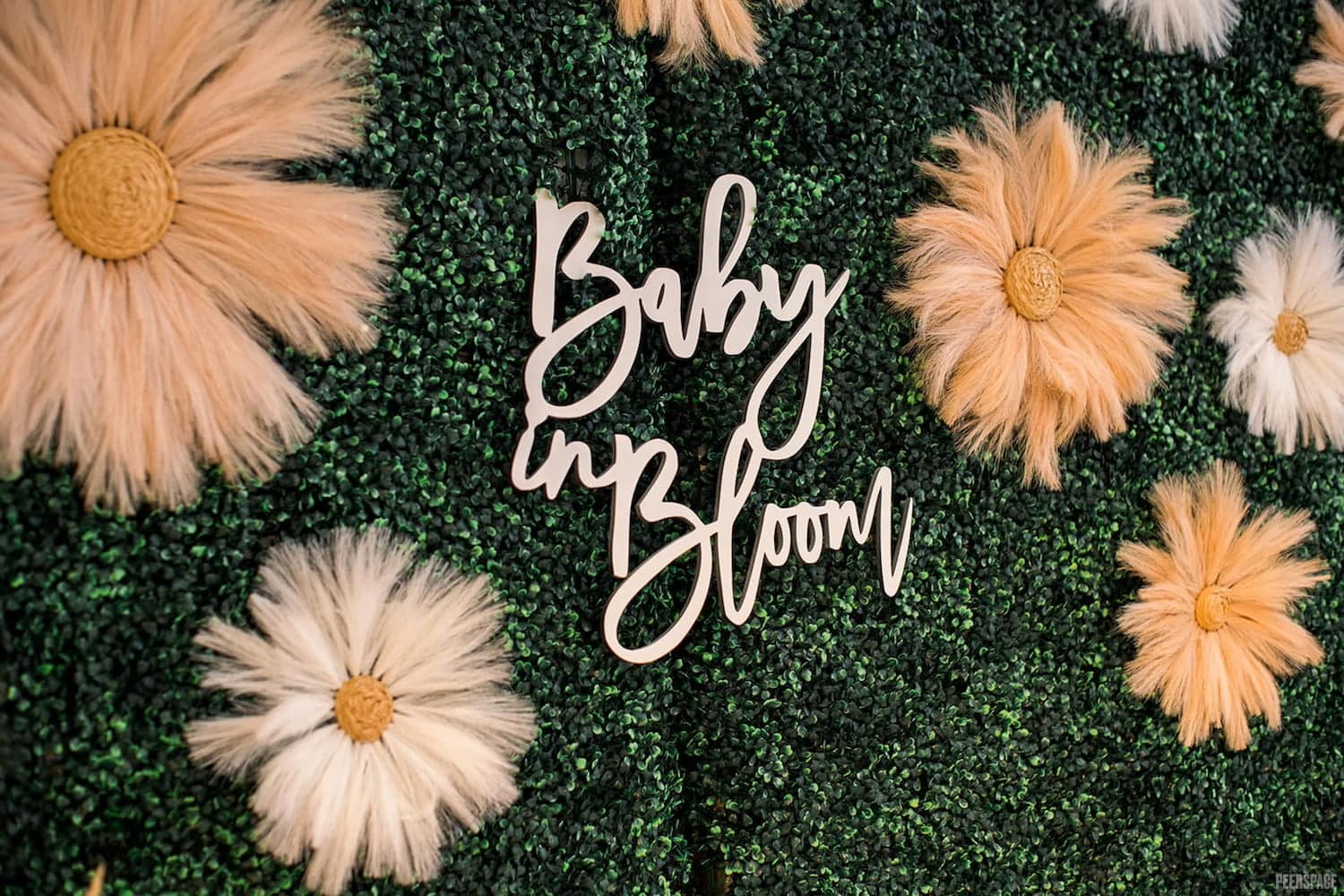 Baby Girl Sprinkle Ideas: Themes and Gifts Fit for a Princess | Peerspace