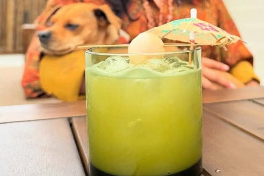 Closeup of a fruity drink with an umbrella in the foreground with a dog in the background