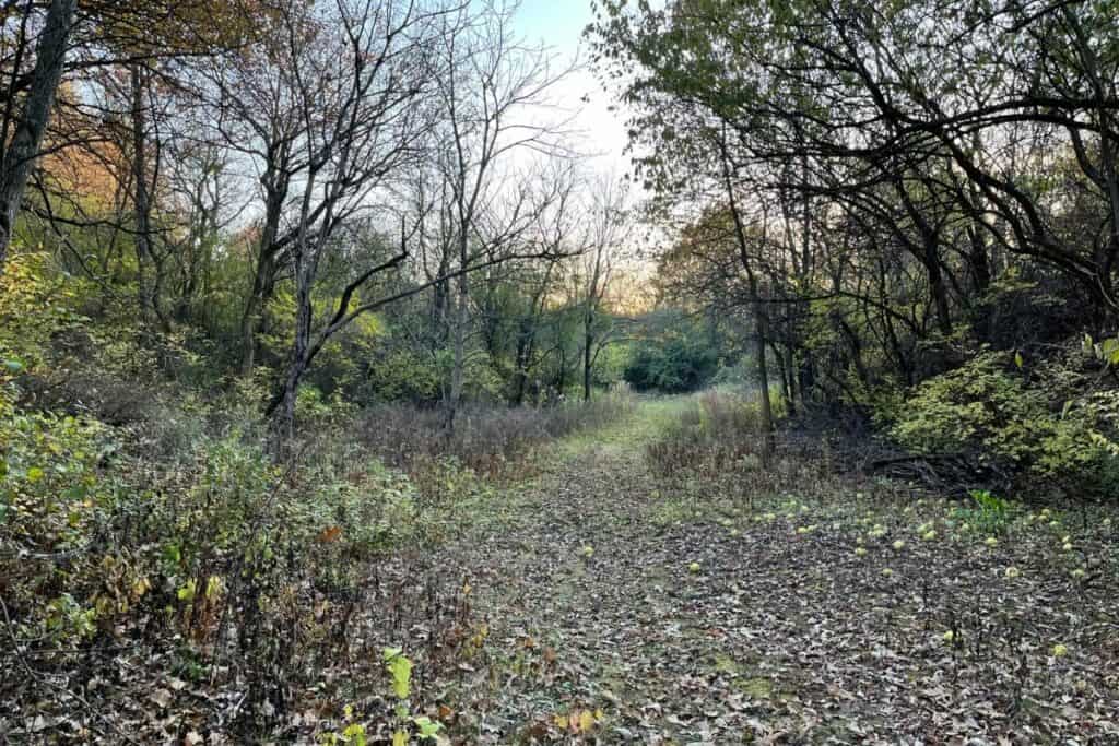 stone quarry in belvidere