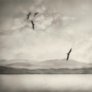 The 8 Best Fine Art Photographers in New York City | Peerspace