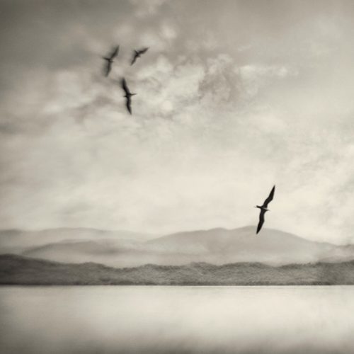 The 8 Best Fine Art Photographers in New York City Peerspace