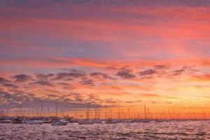 The 7 Best Landscape Photographers in Chicago | Peerspace