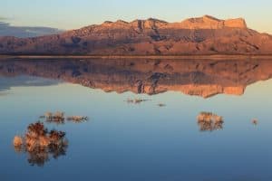 The 9 Best Landscape Photographers in Dallas | Peerspace