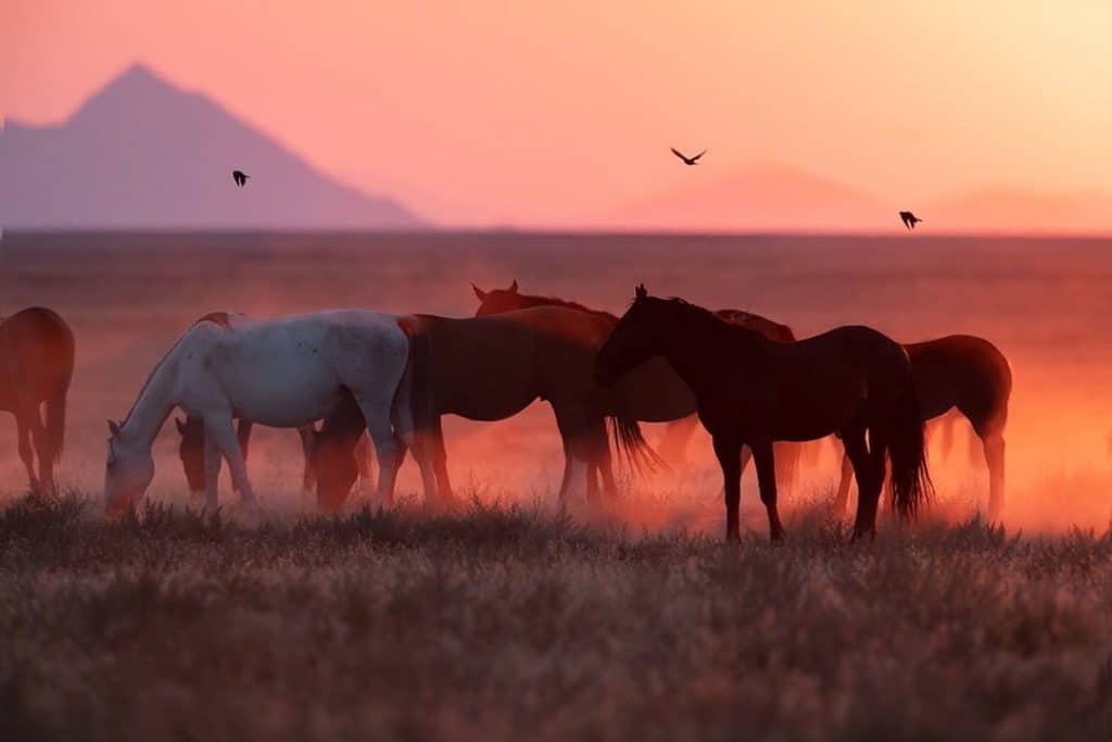 The 7 Best Fine Art Photographers in Minneapolis | Peerspace