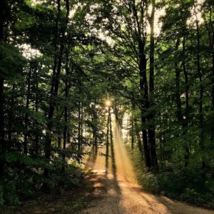 The 5 Best Landscape Photographers in Indianapolis | Peerspace