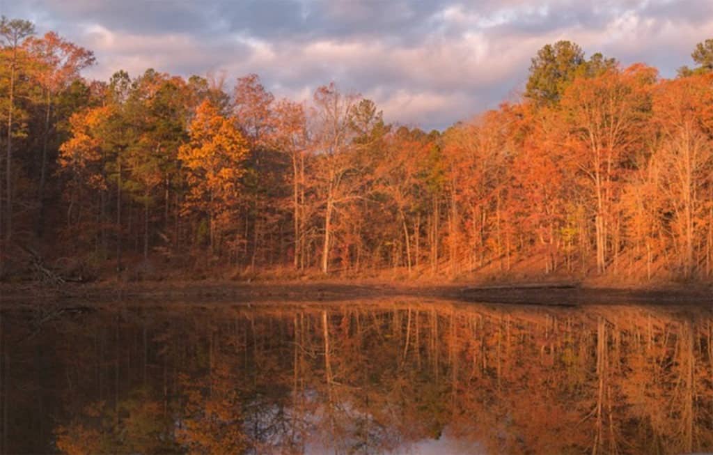 The 8 Best Landscape Photographers in Atlanta (2025) | Peerspace