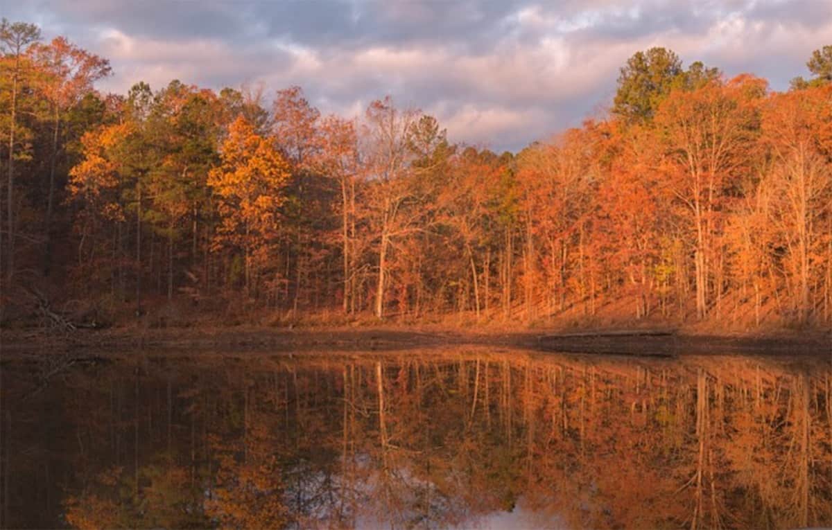 best landscape photographers in atlanta