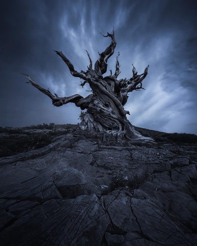 The 7 Best Landscape Photographers in San Francisco | Peerspace