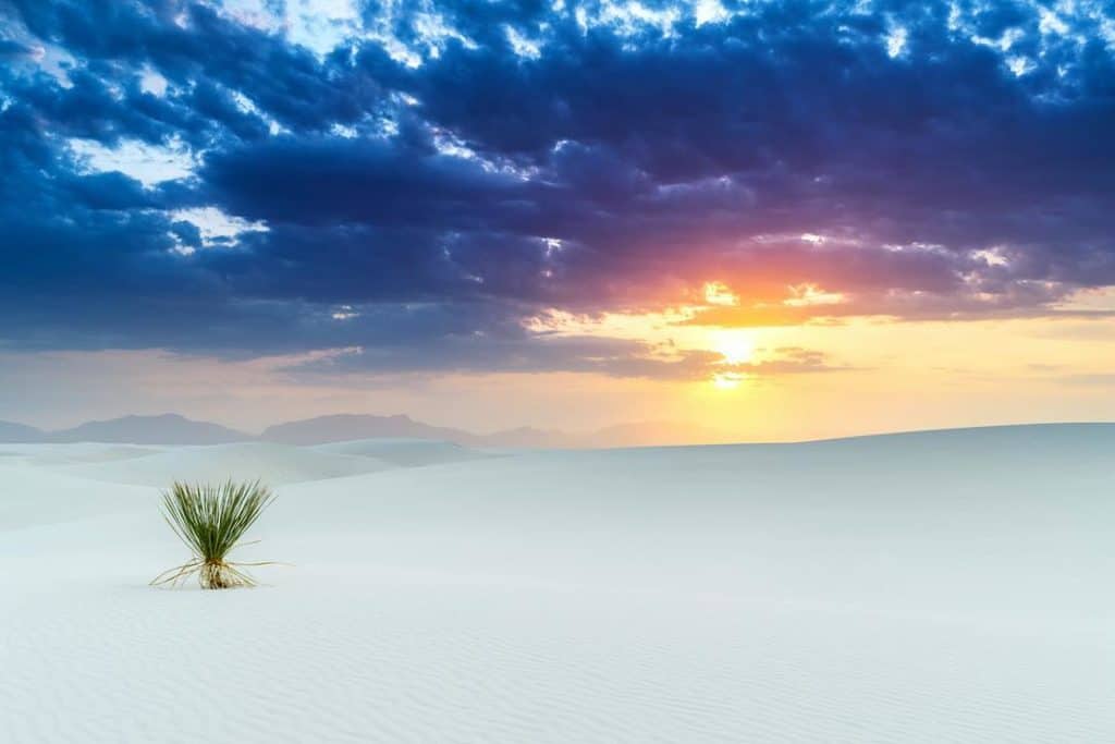 The 7 Best Landscape Photographers in Miami | Peerspace