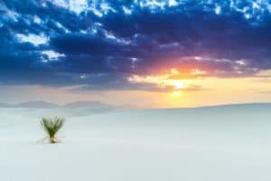 The 7 Best Landscape Photographers in Miami | Peerspace