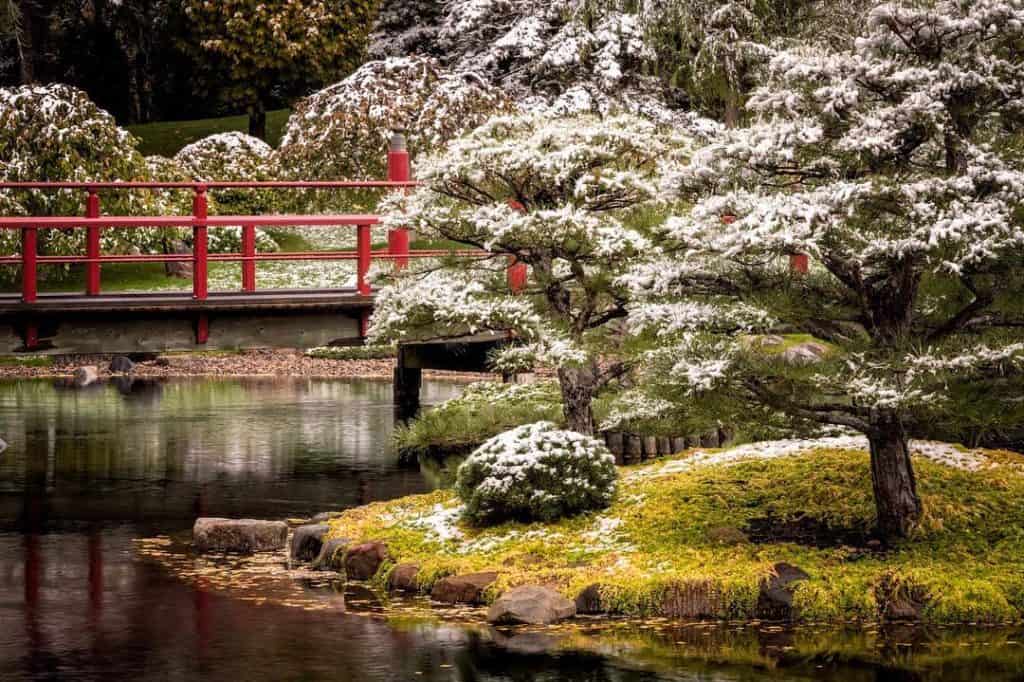The 7 Best Landscape Photographers in Minneapolis | Peerspace