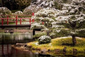 The 7 Best Landscape Photographers in Minneapolis | Peerspace