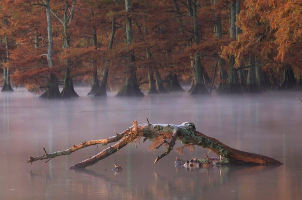 The 5 Best Landscape Photographers in Nashville | Peerspace