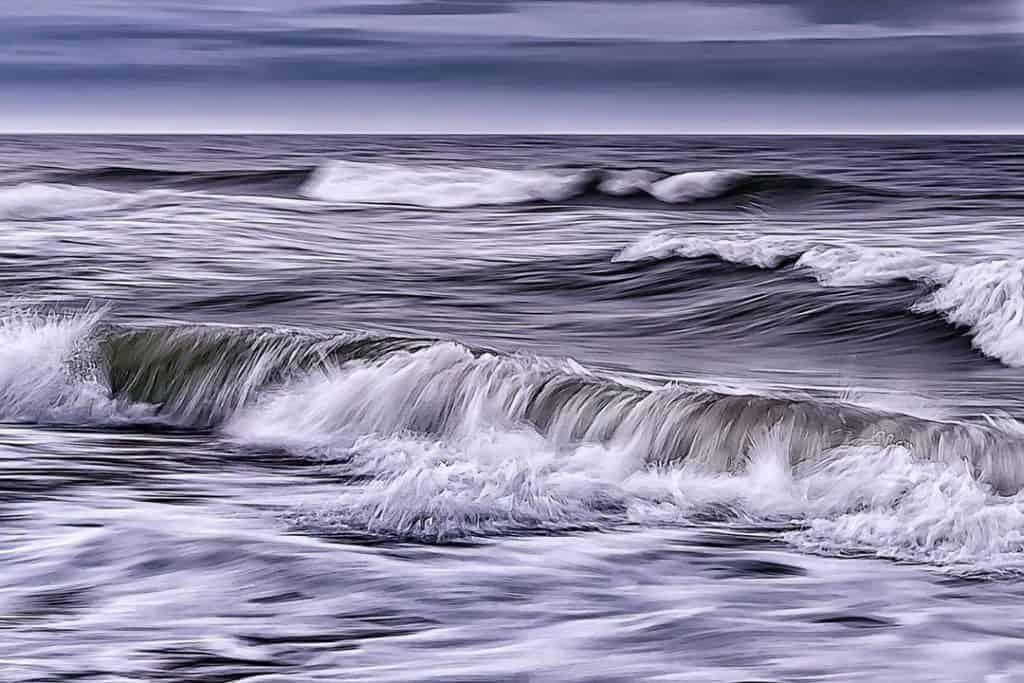 The 7 Best Landscape Photographers in Orlando | Peerspace