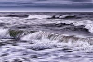 The 7 Best Landscape Photographers in Orlando | Peerspace