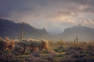 The 9 Best Landscape Photographers in Phoenix | Peerspace