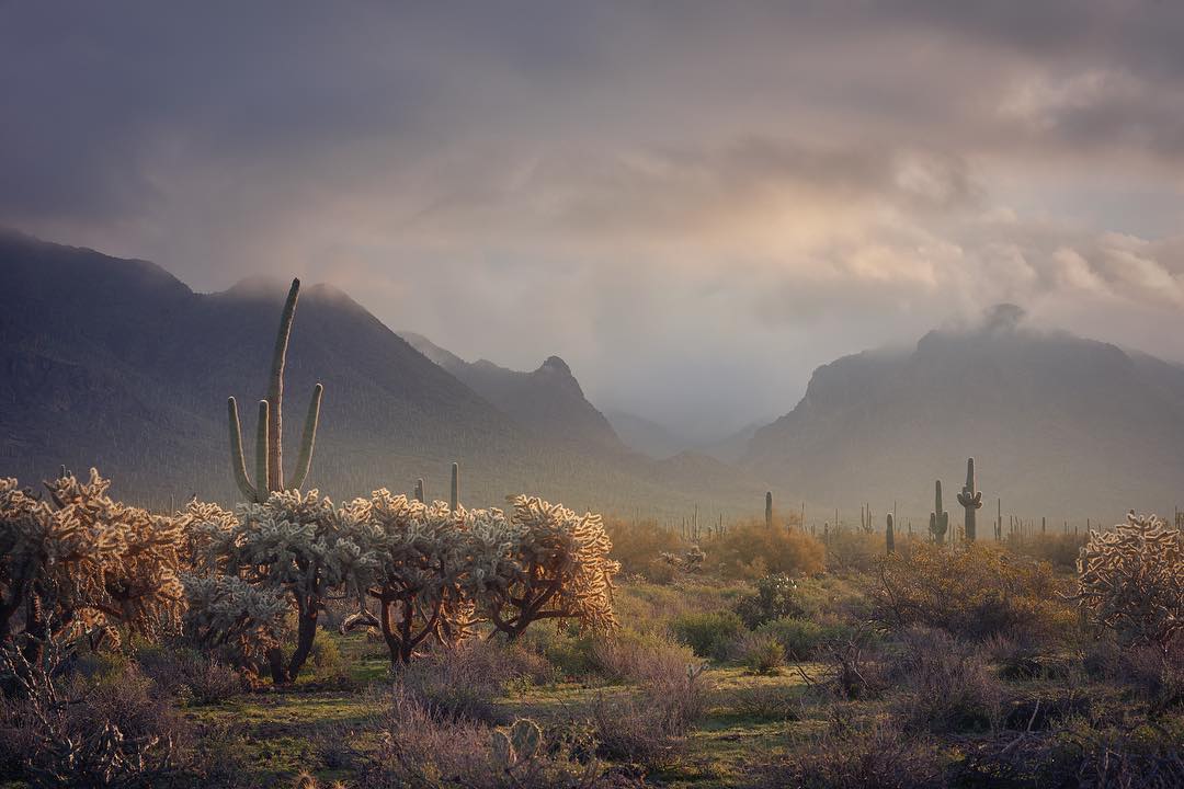 best phoenix landscape photographers