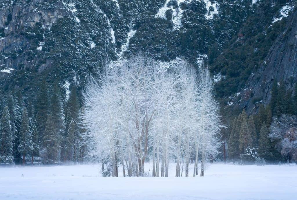 The 6 Best Landscape Photographers in Sacramento | Peerspace