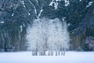 The 6 Best Landscape Photographers in Sacramento | Peerspace