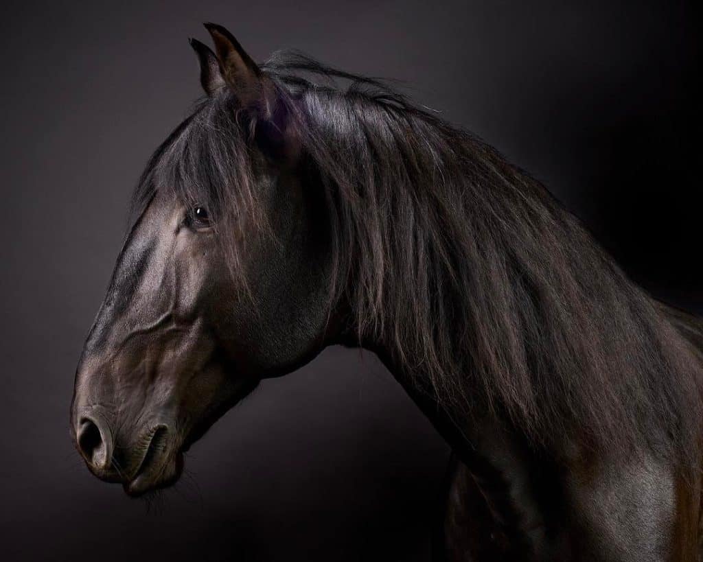 The 6 Best Fine Art Photographers in San Francisco | Peerspace