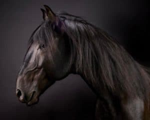The 6 Best Fine Art Photographers in San Francisco | Peerspace