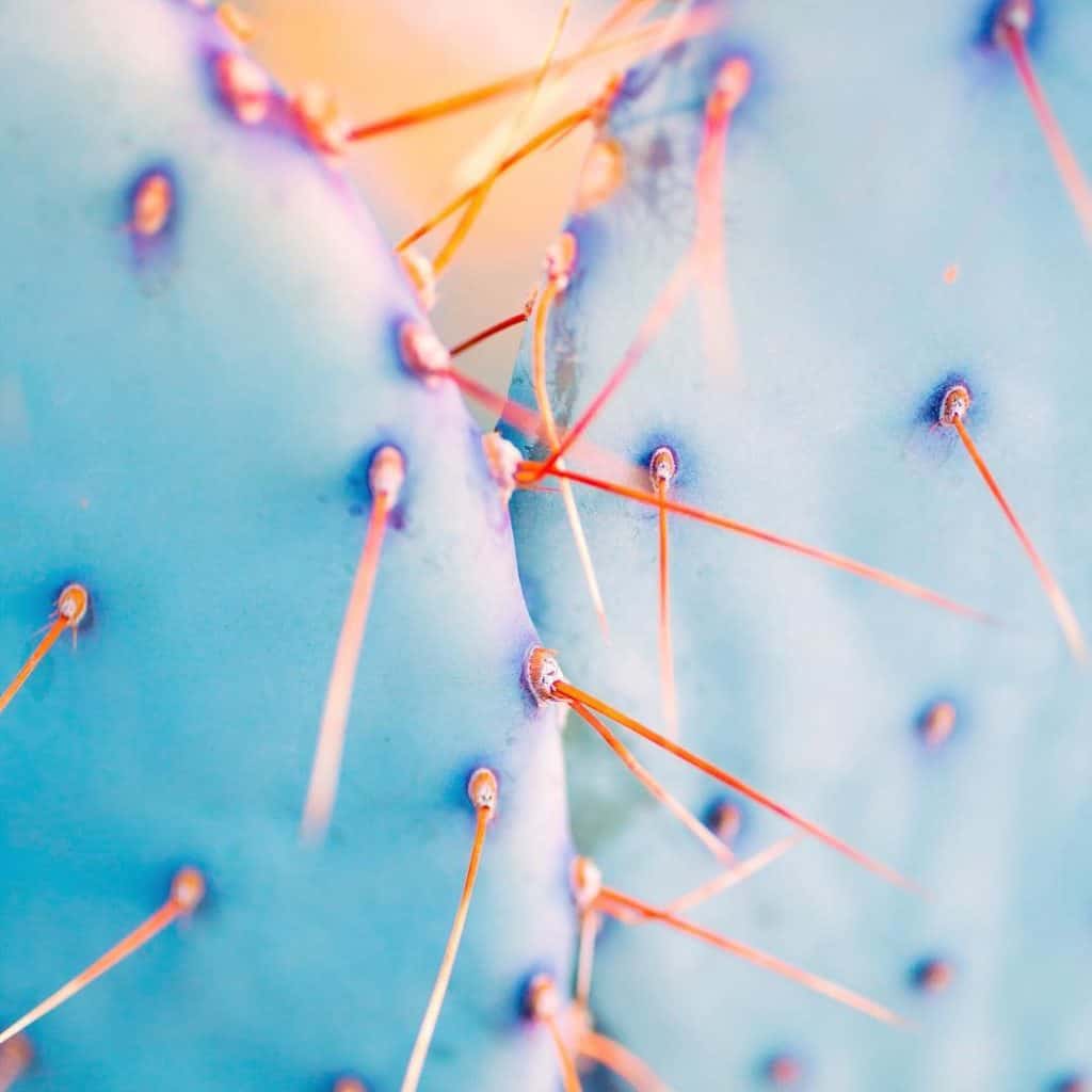 The 6 Best Fine Art Photographers in Tucson | Peerspace