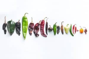 The 7 Best Food Photographers in Tucson | Peerspace