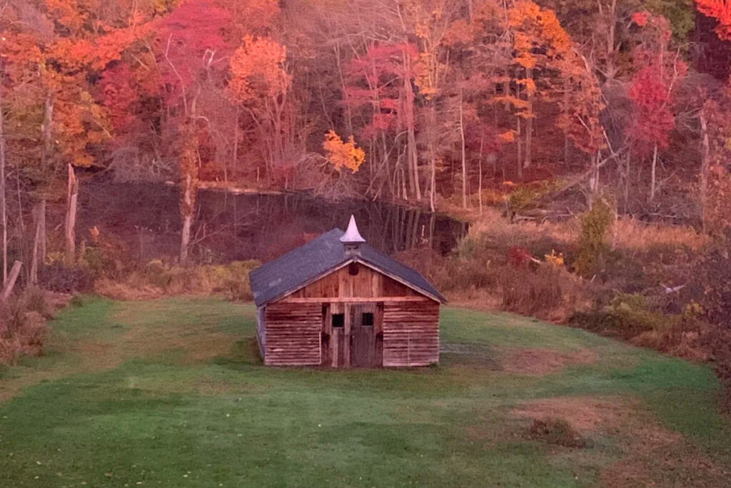 Rustic Barn Big backyard