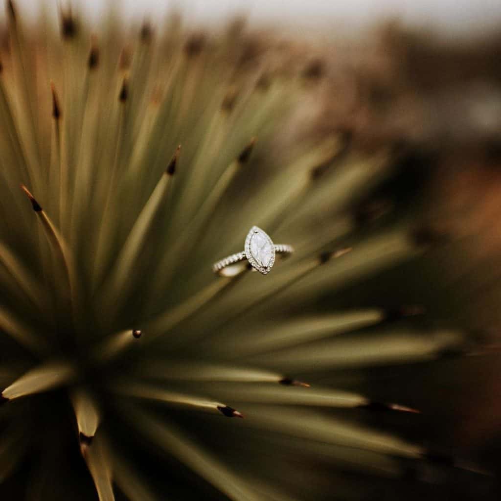 The 9 Best Engagement Photographers in Las Vegas | Peerspace