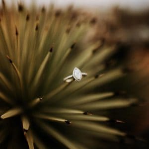 The 9 Best Engagement Photographers in Las Vegas | Peerspace