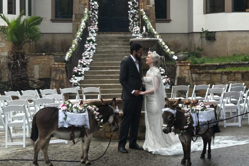 A couple stands outside a large mansion by wedding ceremony chairs with small horses or mules dressed in lace and flowers