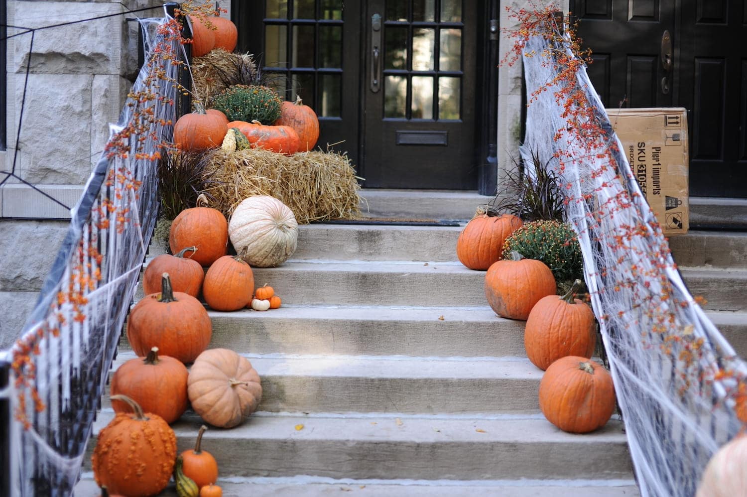 9 Hidden and Immersive Fall Experiences in Chicago This October (2026) | Peerspace