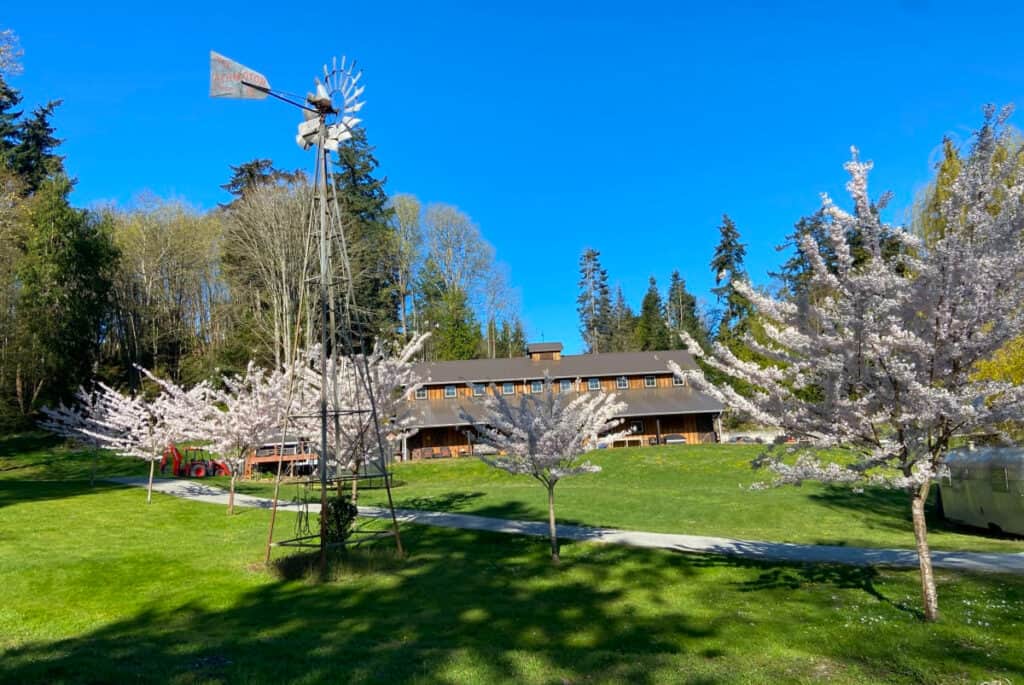 camano expansive, whimsical farm