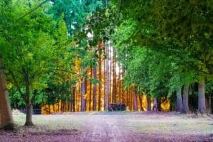 Where Was “The Witcher” Filmed? | Peerspace