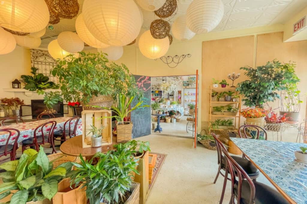 sweet and cozy botanical shop