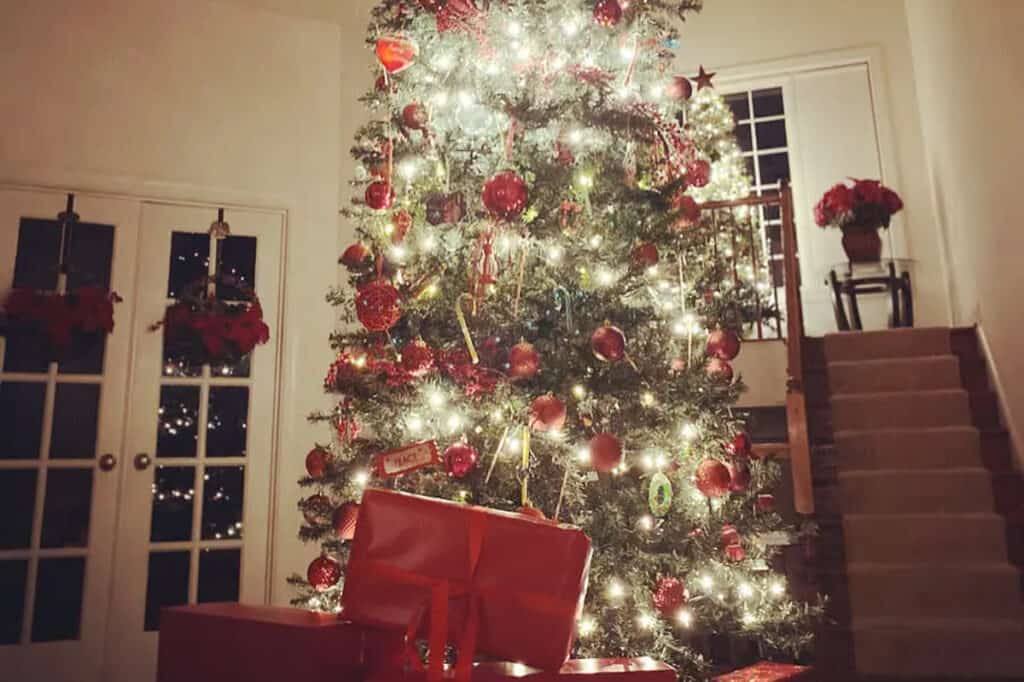 Christmas Gender Reveal Ideas