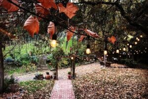 12 Unique November Wedding Ideas: From Venues To Decor & Beyond | Peerspace
