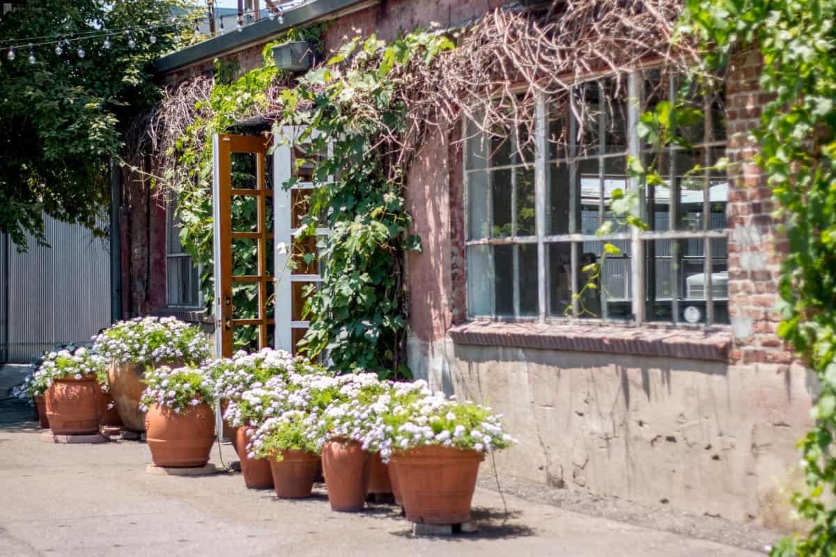 an industrial venue with outdoor courtyard