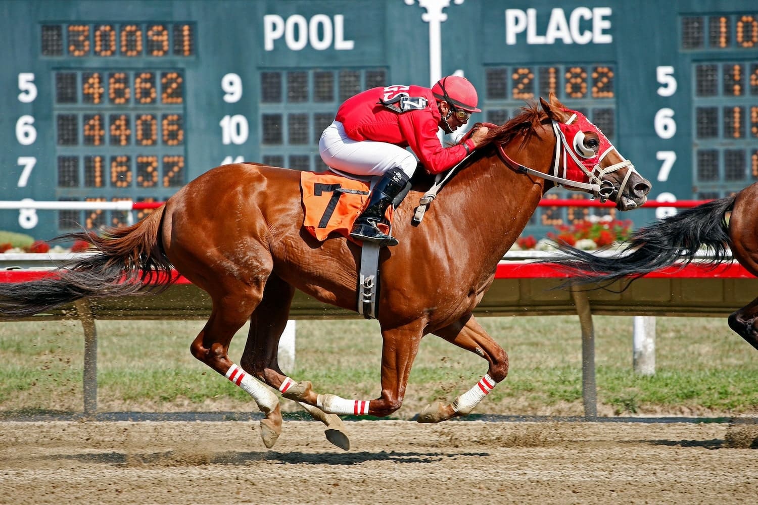 Kentucky Derby Party Ideas: How To Host the Ultimate Derby Bash | Peerspace