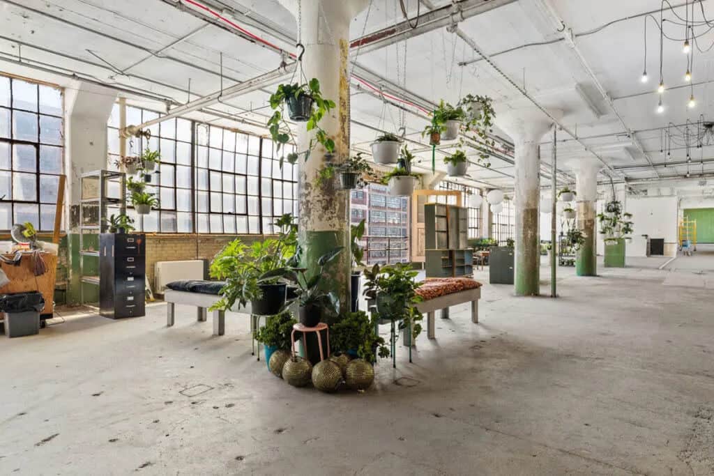 Industrial plant nursery with natural light