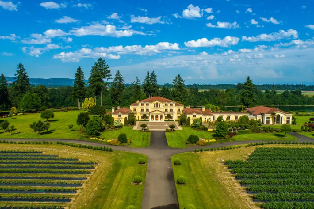 a mansion set on a vineyard